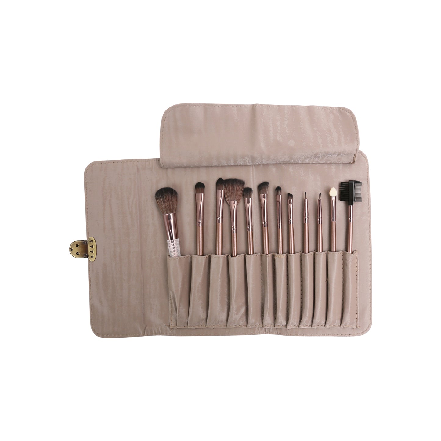 12 Professional Brush Kit